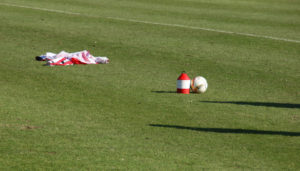 Hybridrasen für Fußball. Was ist ein Hybridrasen? Was kostet ein Hybridrasen?